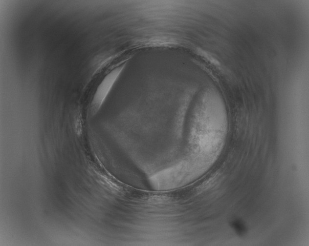 X0000074971306200609081401