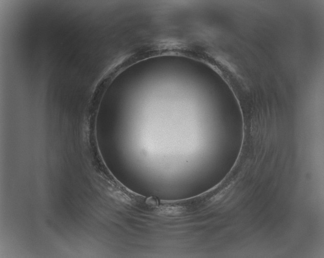 X0000074971309200609081401