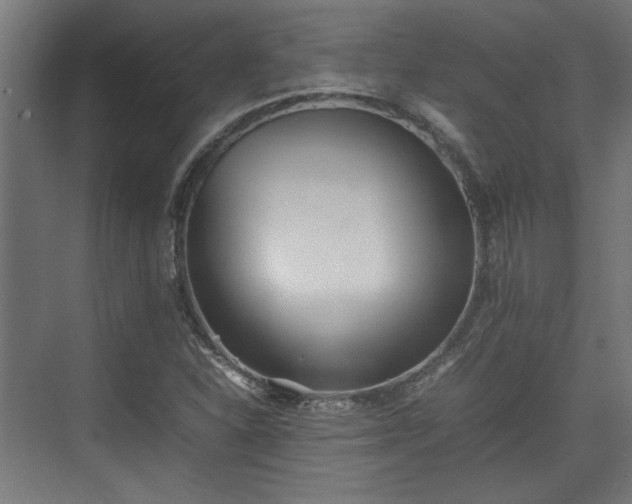 X0000074971310200609081401