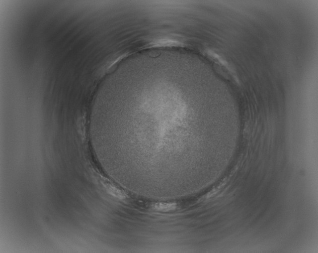 X0000074971313200609081401