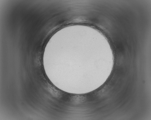 X0000074971314200609081401