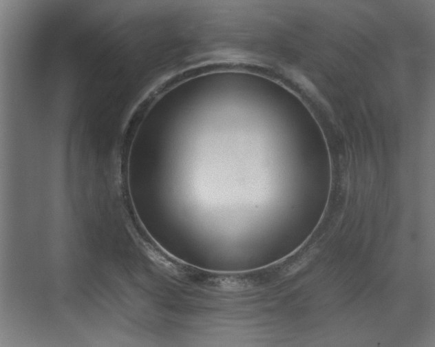 X0000074971318200609081401