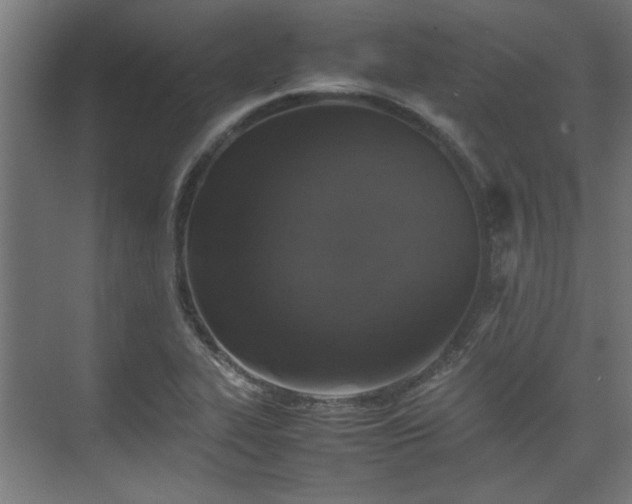 X0000074971319200609081401