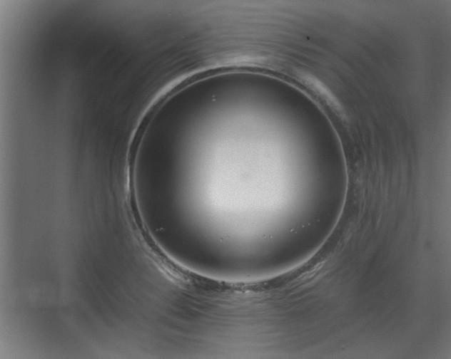 X0000074971324200609081401