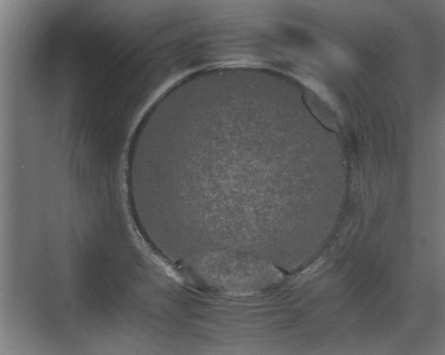 X0000074971325200609081401