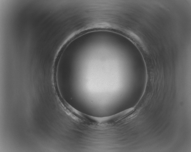 X0000074971326200609081401