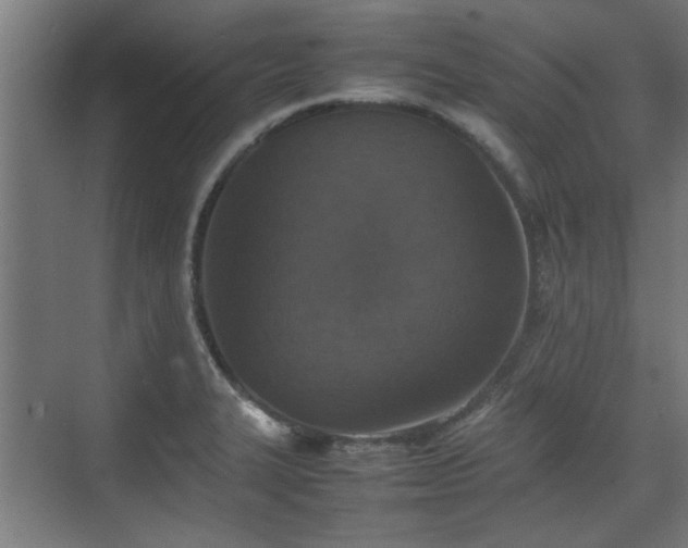 X0000074971327200609081401