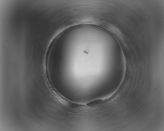 X0000074971328200609081401