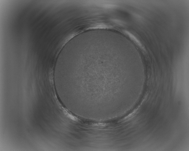 X0000074971329200609081401