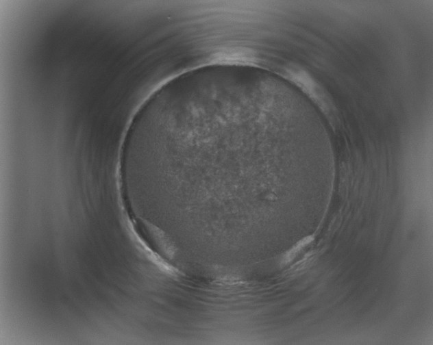 X0000074971331200609081401