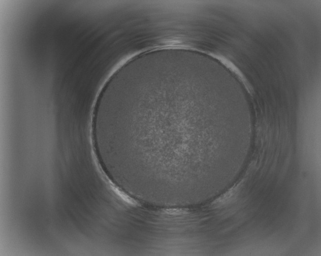 X0000074971333200609081401