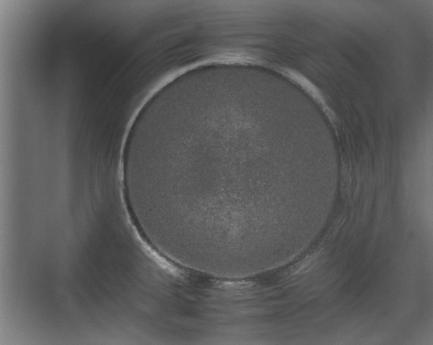 X0000074971335200609081401