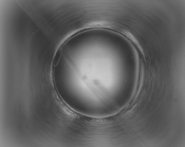 X0000074971336200609081401