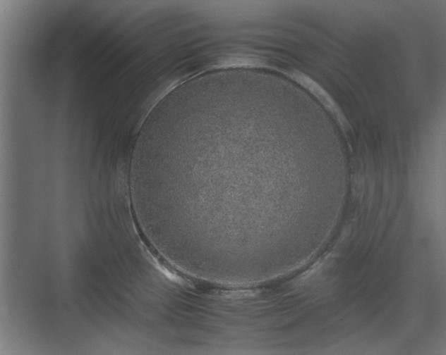 X0000074971337200609081401