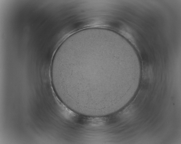 X0000074971338200609081401