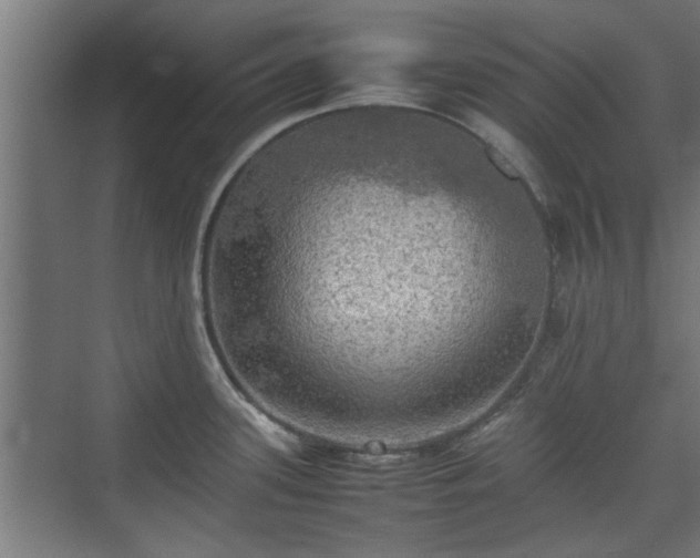 X0000074971339200609081401