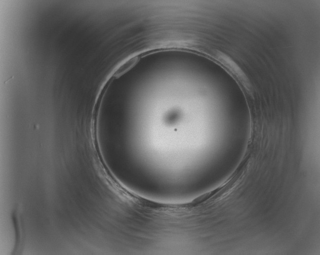 X0000074971340200609081401