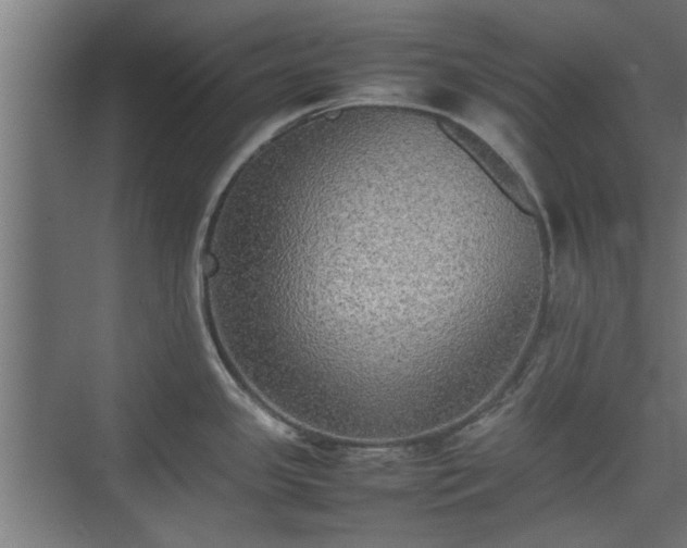 X0000074971341200609081401