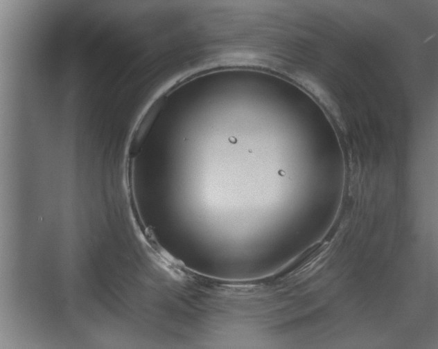 X0000074971342200609081401