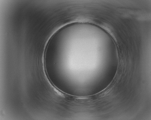 X0000074971343200609081401