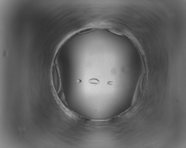 X0000074971344200609081401