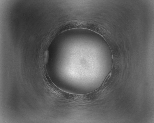 X0000074971345200609081401