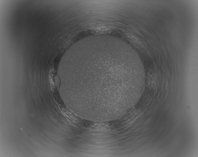 X0000074971346200609081401