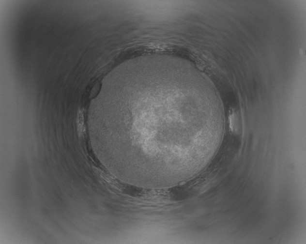 X0000074971347200609081401