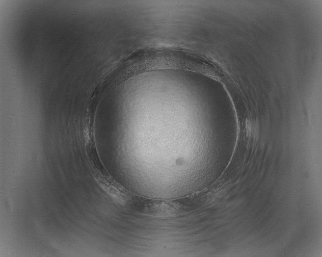 X0000074971348200609081401