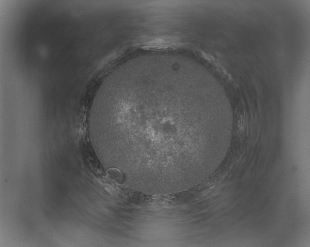 X0000074971350200609081401