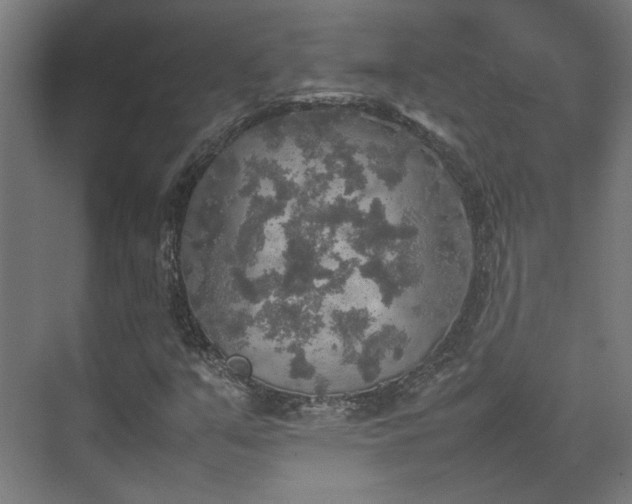 X0000074971351200609081401