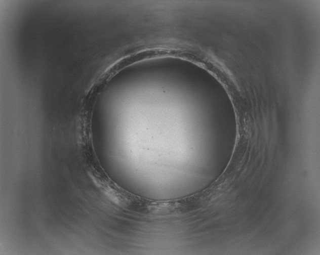 X0000074971352200609081401