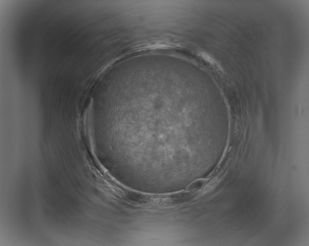 X0000074971353200609081401