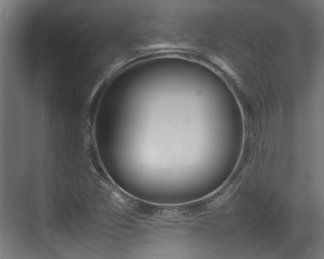 X0000074971357200609081400