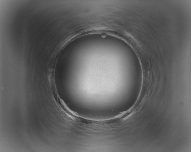 X0000074971361200609081400