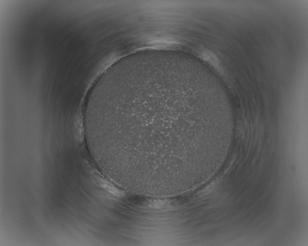 X0000074971362200609081400