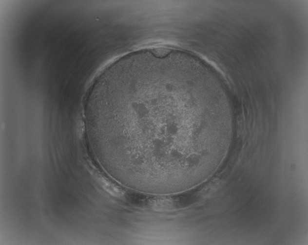 X0000074971363200609081400