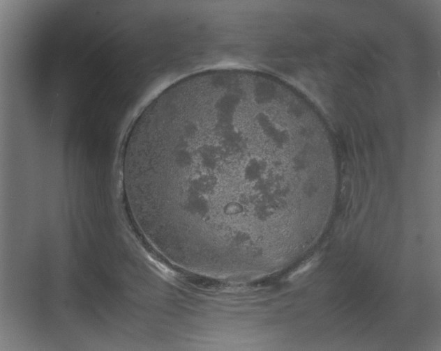 X0000074971367200609081400