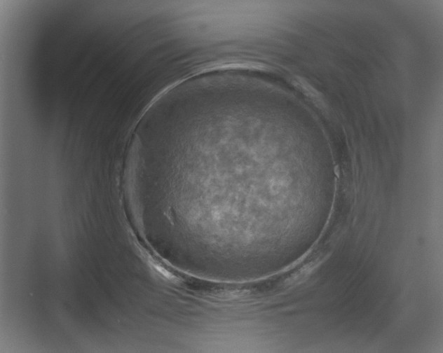 X0000074971369200609081400