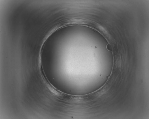 X0000074971370200609081400