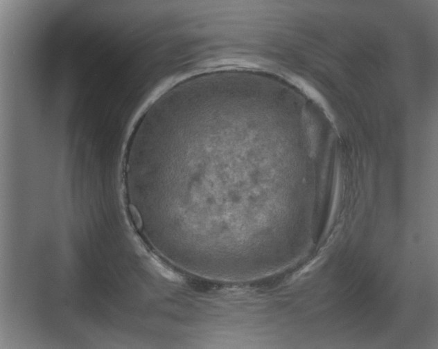 X0000074971373200609081400