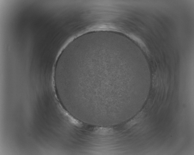 X0000074971374200609081400