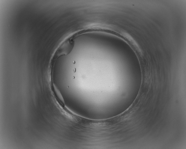 X0000074971376200609081400