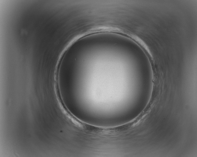 X0000074971381200609081400