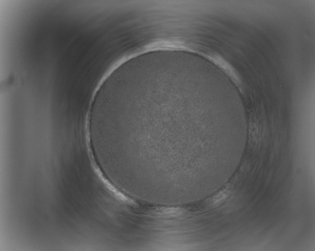 X0000074971382200609081400