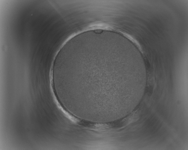 X0000074971383200609081400