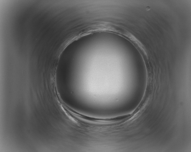 X0000074971385200609081400