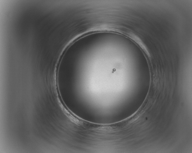 X0000074971388200609081400