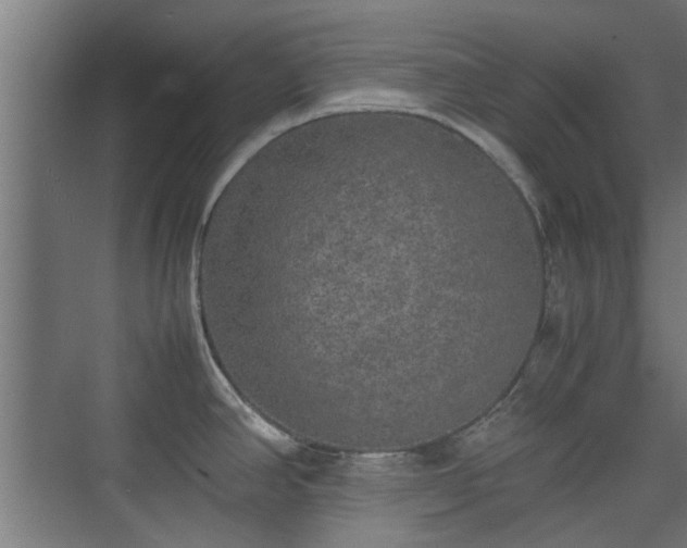 X0000074971390200609081400