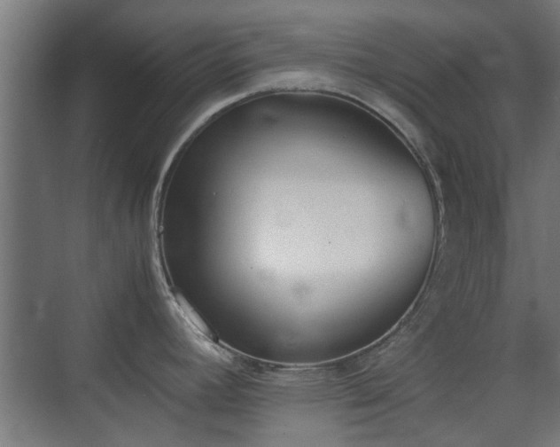 X0000074971392200609081400